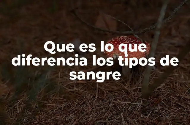 Que es Lo que Diferencia los Tipos de Sangre