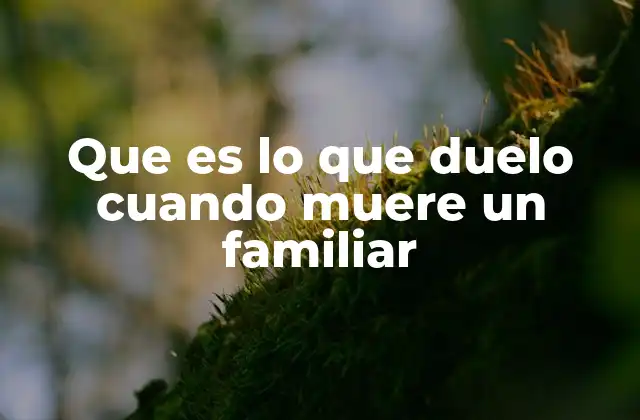 Que es Lo que Duelo Cuando Muere un Familiar 2 El proceso emocional tras la muerte de un familiar