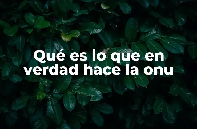 Qué es Lo que en Verdad Hace la Onu