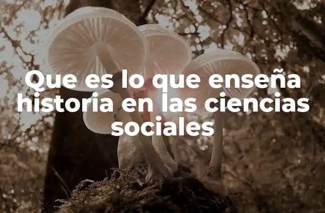 Que es Lo que Enseña Historia en las Ciencias Sociales