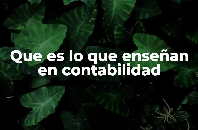 Que es Lo que Enseñan en Contabilidad