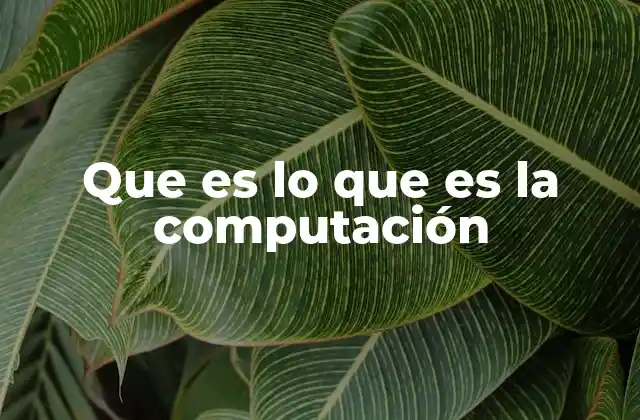 Que es Lo que es la Computación