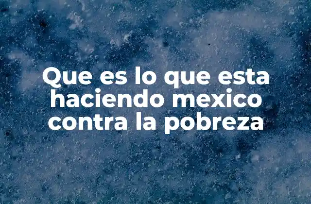 Que es Lo que Esta Haciendo Mexico contra la Pobreza