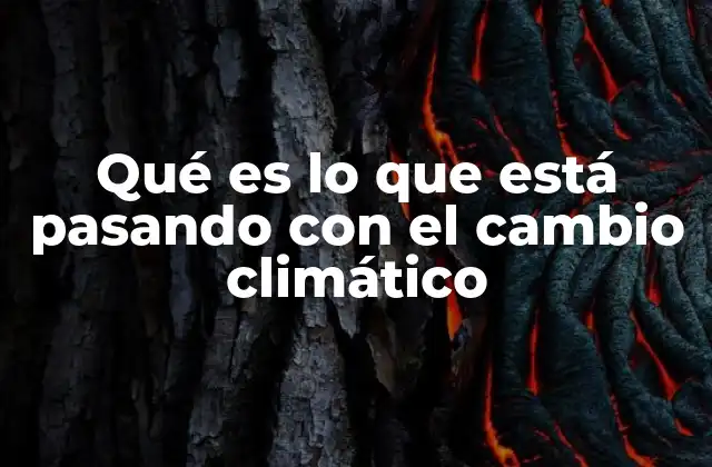 Qué es Lo que Está Pasando con el Cambio Climático