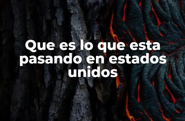 Que es Lo que Esta Pasando en Estados Unidos 2 La vida cotidiana en Estados Unidos bajo una mirada global