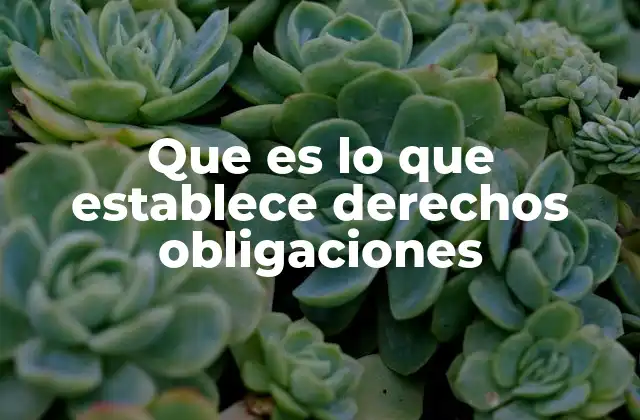 Cómo se estructuran las normas que definen derechos y obligaciones