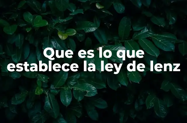 Que es Lo que Establece la Ley de Lenz