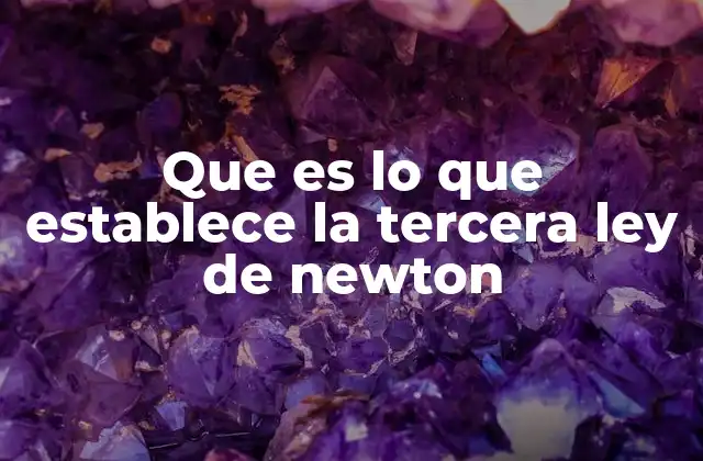 Que es Lo que Establece la Tercera Ley de Newton