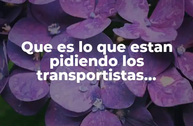 Que es Lo que Estan Pidiendo los Transportistas Mexicanos