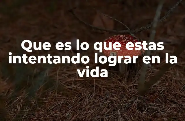 El viaje hacia lo que quieres lograr