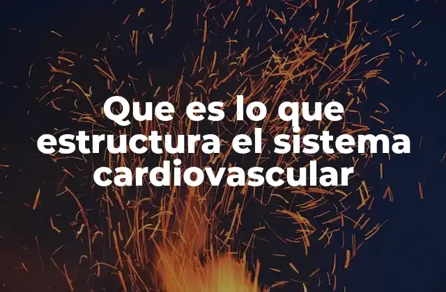 Que es Lo que Estructura el Sistema Cardiovascular