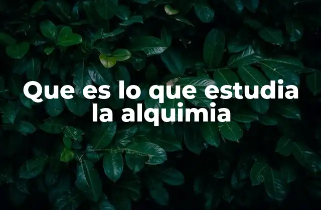Que es Lo que Estudia la Alquimia 2 La búsqueda de los secretos ocultos en la naturaleza