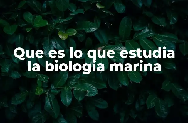 La vida bajo el agua: un mundo oculto