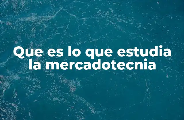 Que es Lo que Estudia la Mercadotecnia