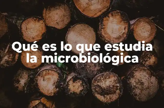 Qué es Lo que Estudia la Microbiológica