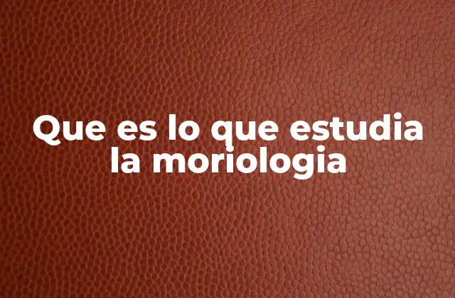Que es Lo que Estudia la Moriologia