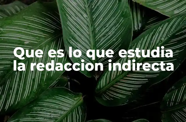 Que es Lo que Estudia la Redaccion Indirecta
