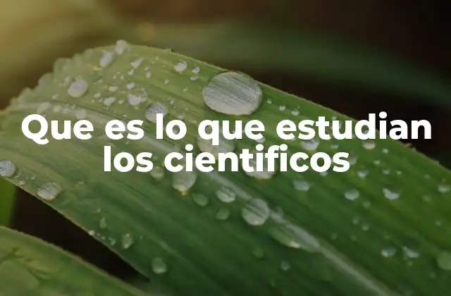 Que es Lo que Estudian los Cientificos
