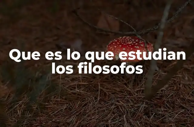Que es Lo que Estudian los Filosofos 2 El pensamiento crítico como herramienta filosófica