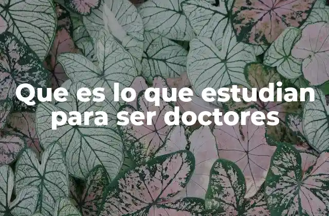 Que es Lo que Estudian para Ser Doctores