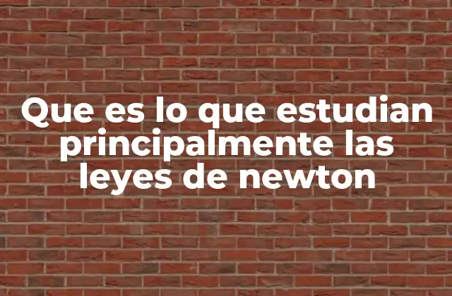 Que es Lo que Estudian Principalmente las Leyes de Newton