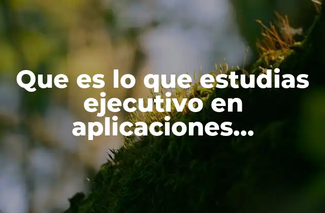 Que es Lo que Estudias Ejecutivo en Aplicaciones Computacionales