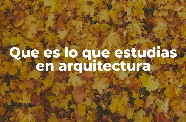 Que es Lo que Estudias en Arquitectura