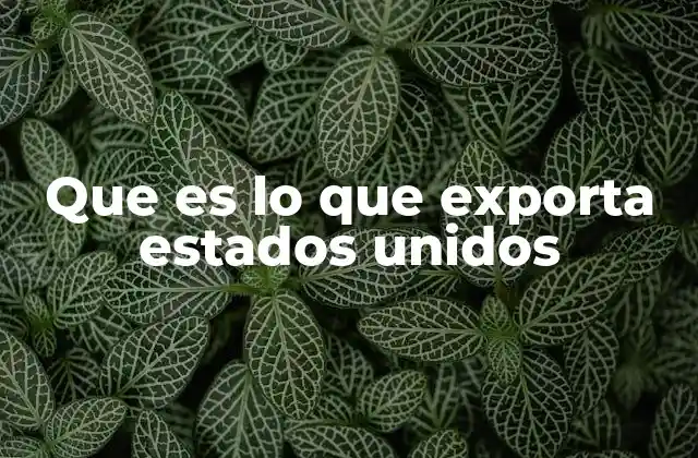 Que es Lo que Exporta Estados Unidos