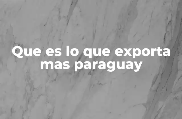 Que es Lo que Exporta mas Paraguay