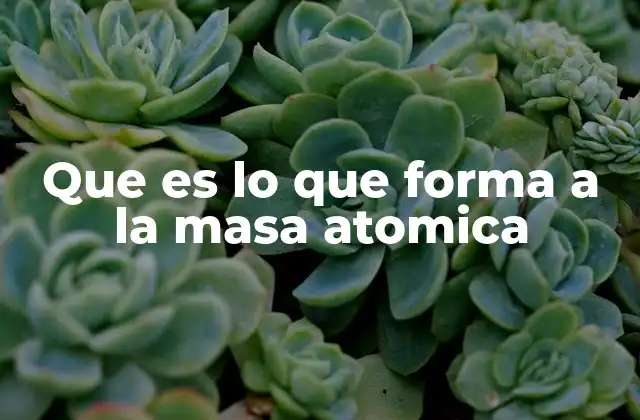 La base de la masa atómica en la estructura del átomo