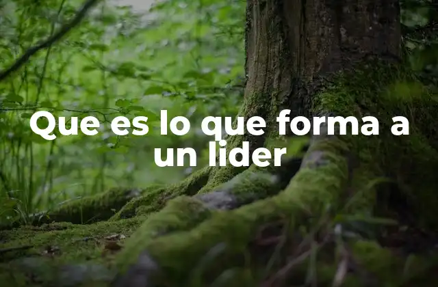 Que es Lo que Forma a un Lider