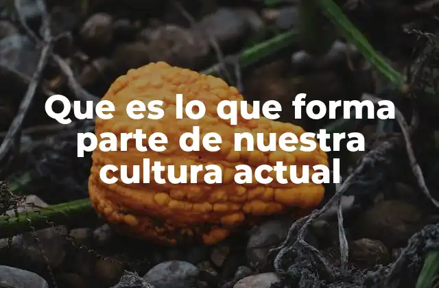 Que es Lo que Forma Parte de Nuestra Cultura Actual