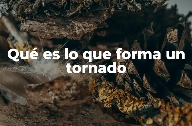 Qué es Lo que Forma un Tornado