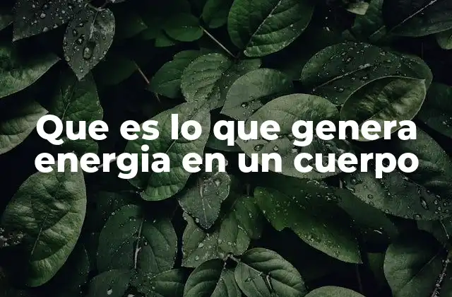 Que es Lo que Genera Energia en un Cuerpo
