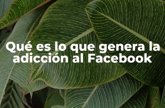 Qué es Lo que Genera la Adicción Al Facebook