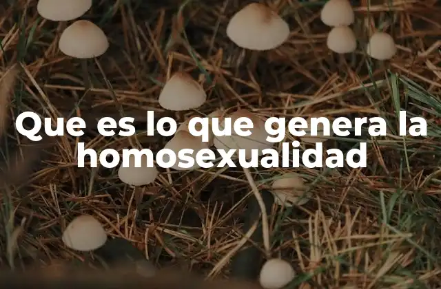 Que es Lo que Genera la Homosexualidad