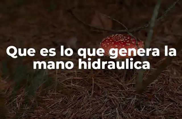 Que es Lo que Genera la Mano Hidraulica