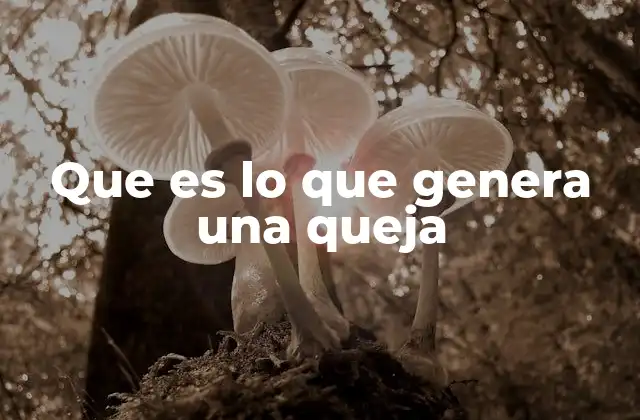 Que es Lo que Genera una Queja