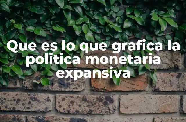 Que es Lo que Grafica la Politica Monetaria Expansiva