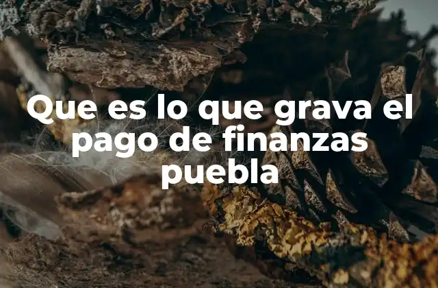 Que es Lo que Grava el Pago de Finanzas Puebla 2 Cómo los impuestos afectan las operaciones financieras en Puebla