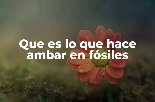 El papel del ambar como ventana al pasado