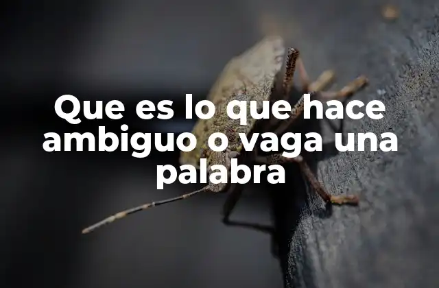 Que es Lo que Hace Ambiguo o Vaga una Palabra