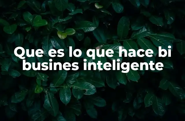 Que es Lo que Hace Bi Busines Inteligente
