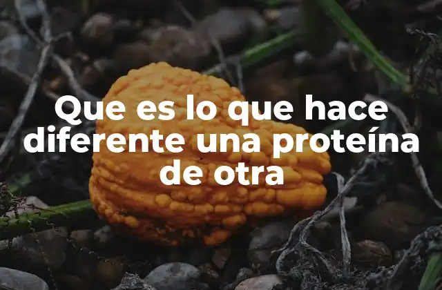 Que es Lo que Hace Diferente una Proteína de Otra