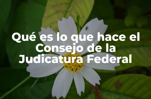 Qué es Lo que Hace el Consejo de la Judicatura Federal