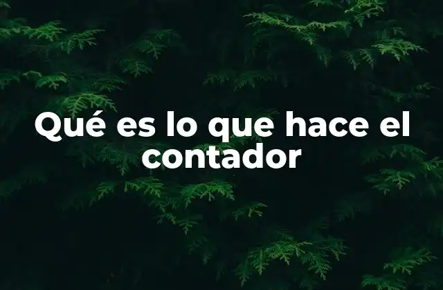 Qué es Lo que Hace el Contador