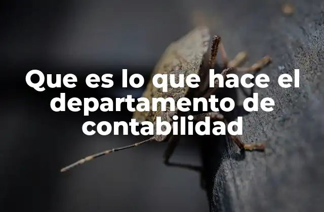 La base del control financiero interno