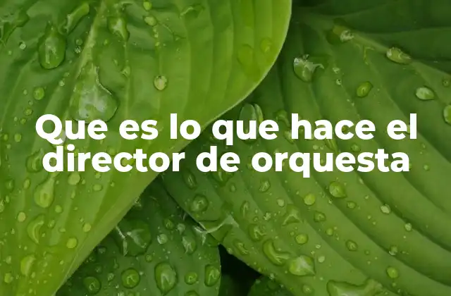 Que es Lo que Hace el Director de Orquesta 2 La importancia de la comunicación no verbal en la dirección orquestal