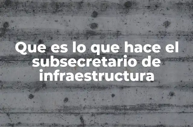 Que es Lo que Hace el Subsecretario de Infraestructura