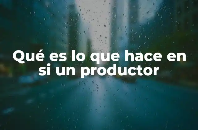 Qué es Lo que Hace en Si un Productor